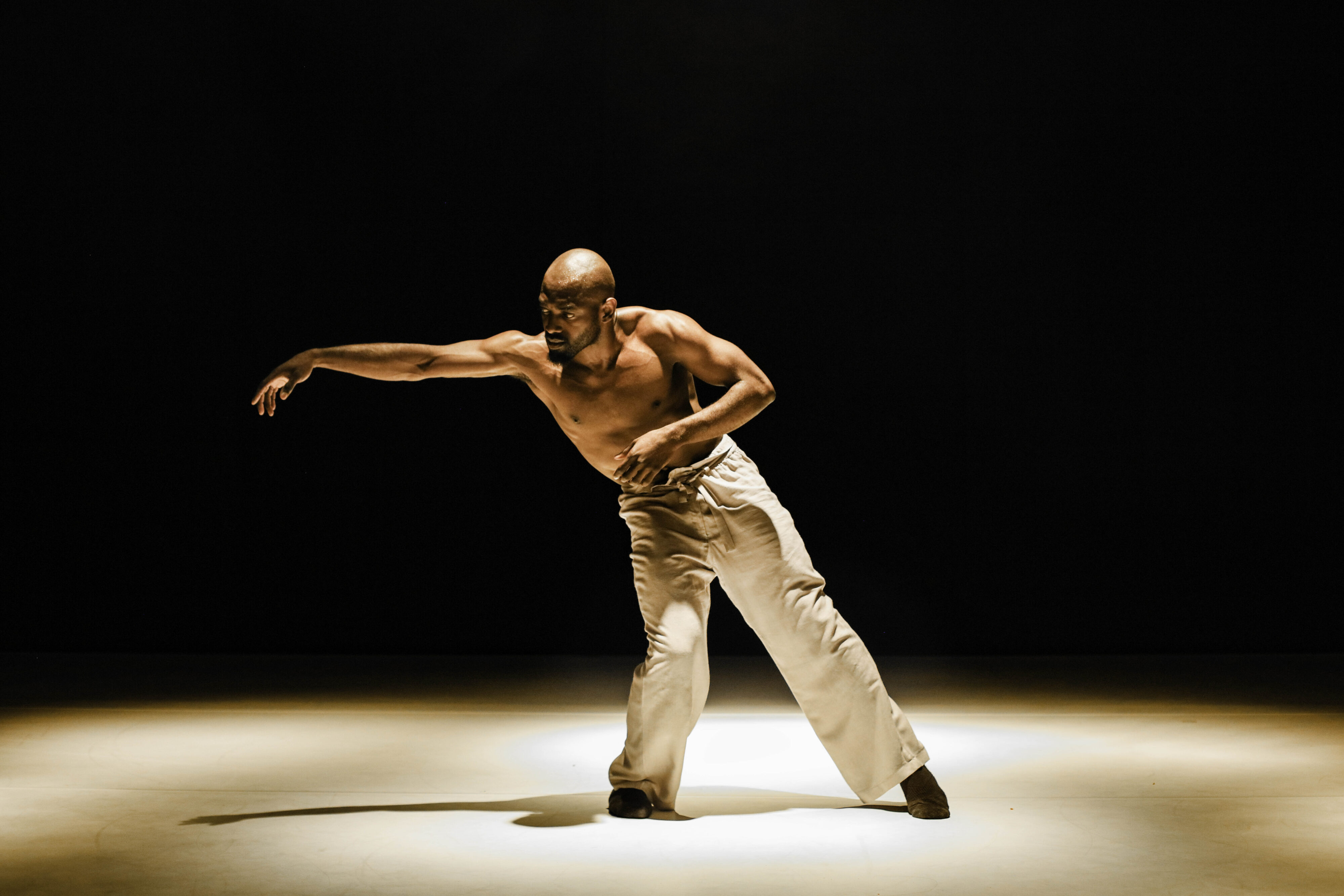 Fall for Dance North 2025